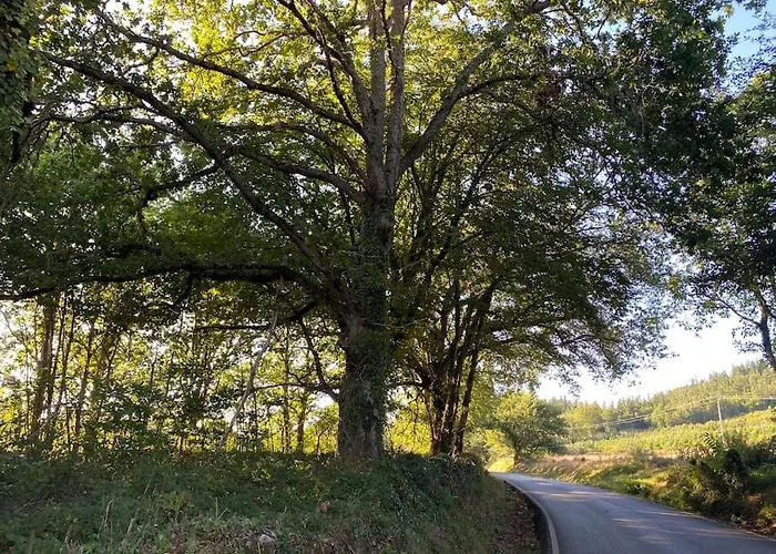 Casa Vilacha - Ribeira Sacra
