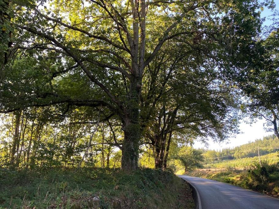 Casa Vilacha - Ribeira Sacra